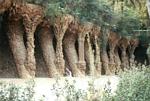 parcguell